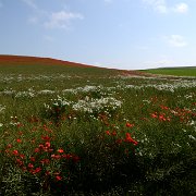 2013-07-09 09-38-45 1